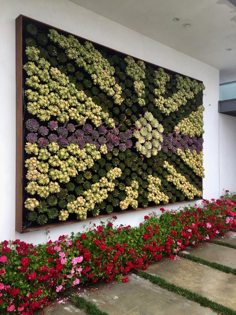 GrowUp Greenwalls Succulent Living Walls
